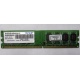 Модуль оперативной памяти 4Gb DDR2 Patriot PSD24G8002 pc-6400 (800MHz)  (Наро-Фоминск)