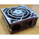 HP 224977 (224978-001) for Proliant ML370 G2/G3/G4 (Наро-Фоминск).