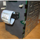 HP 365664-001 кабель SCSI для корзины 373108-001 / 359719-001 HP ML370G4 (Наро-Фоминск)