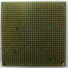 Процессор AMD Sempron 3000+ (1.6GHz) SDA3000IAA3CN s.AM2 (Наро-Фоминск)